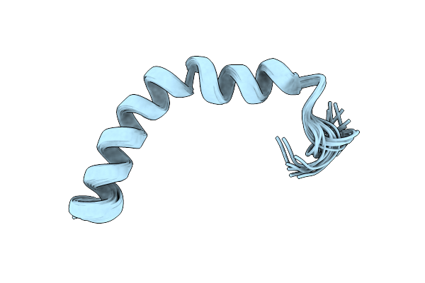 2RMG image