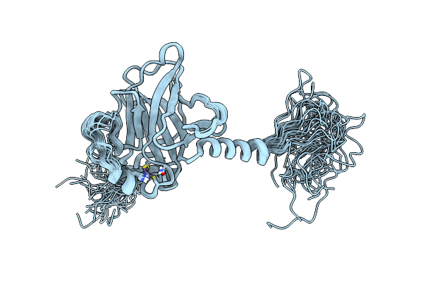 2RMN image