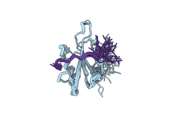 2RMX image