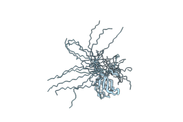 2RNE image
