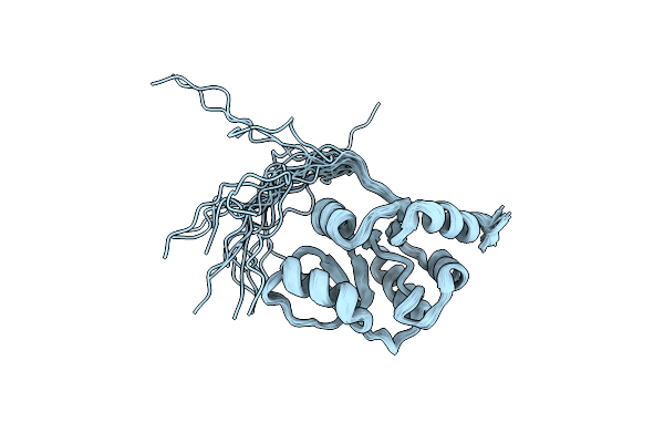 2RNK image
