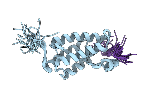 2RNX image