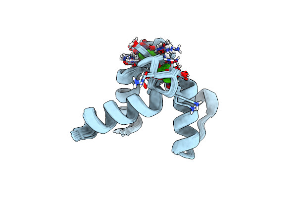 2ROB image