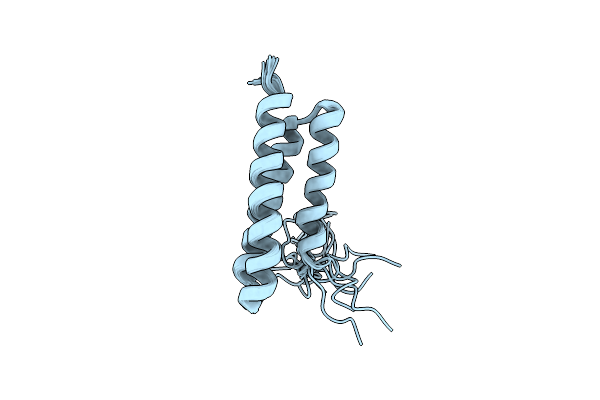 2RPA image