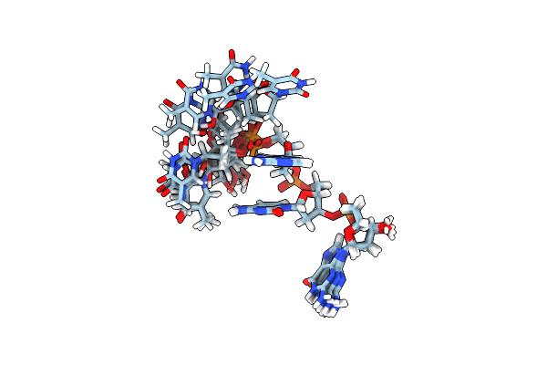 2RPE image