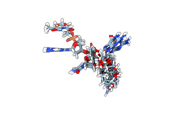 2RPF image