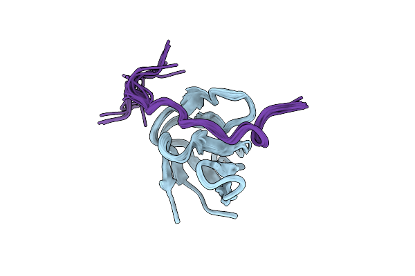 2RPN image