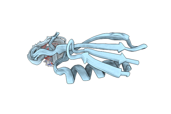 2RPV image