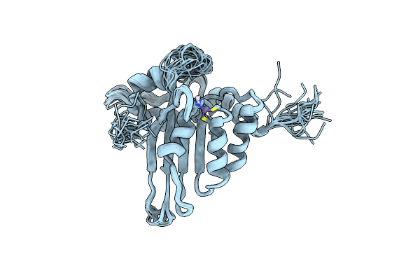 2RPZ image
