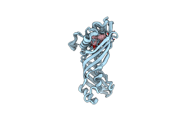 2RQF image