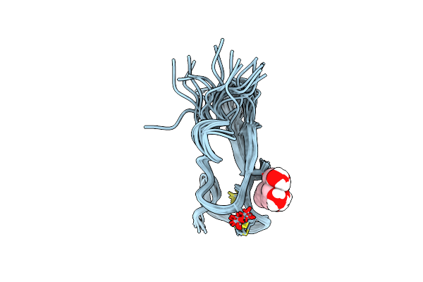 2RR2 image
