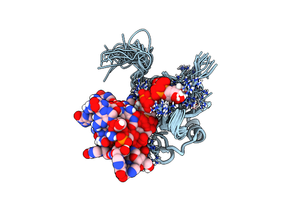 2RRA image