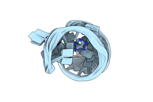 2RRC image