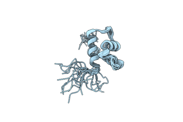 2RRE image