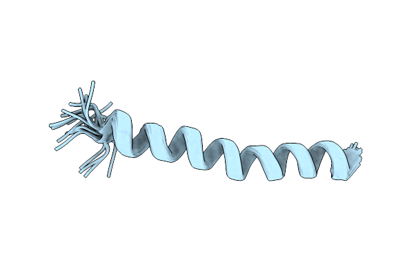 2RRH image