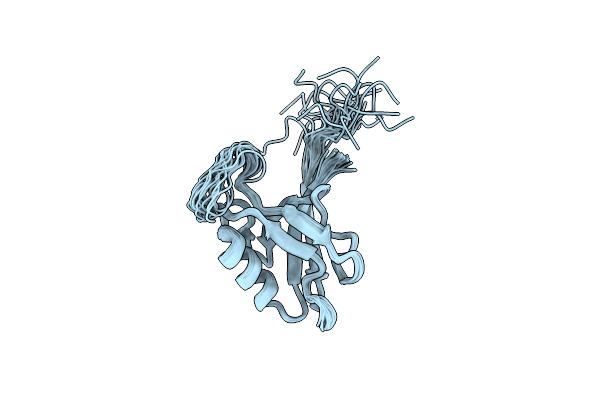 2RRM image