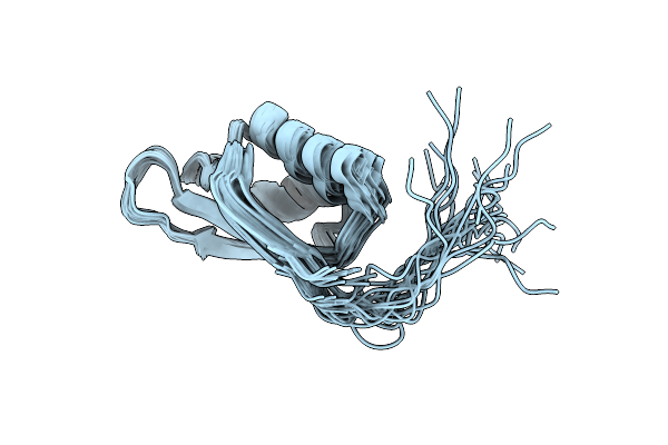 2RRN image