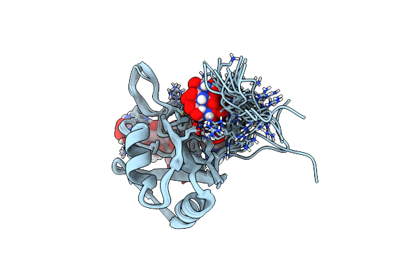 2RS2 image