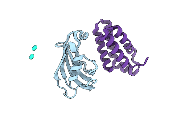 2RSE image