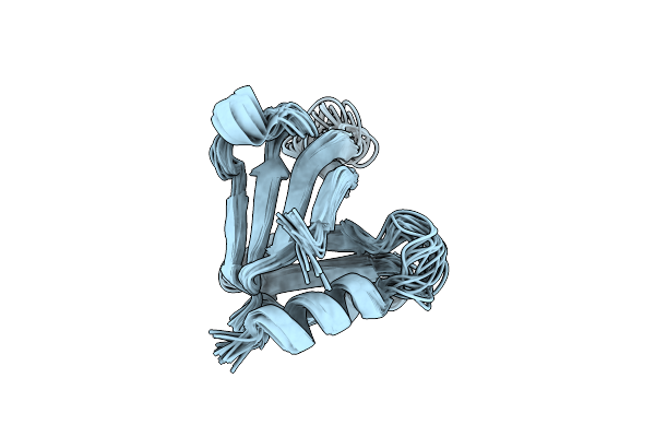 2RSG image