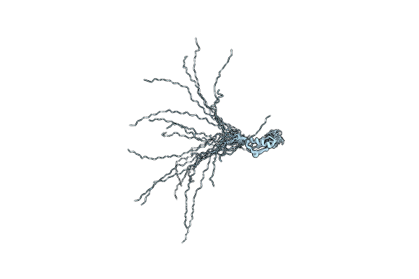 2RSM image