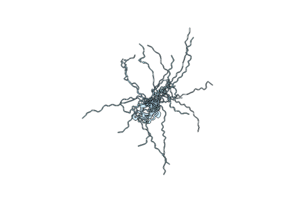 2RSO image