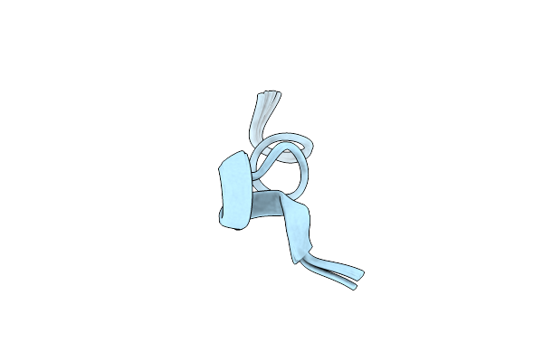 2RSW image