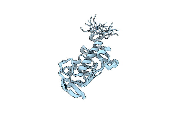 2RSX image