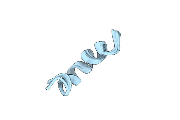 2RUM image