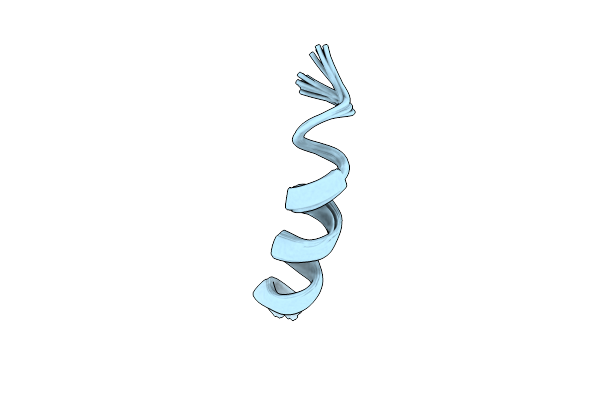 2RUO image