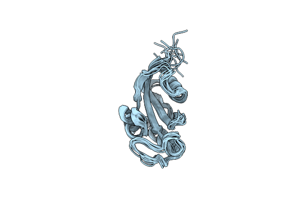 2RUR image