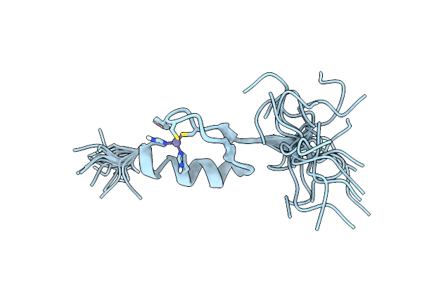 2RUT image