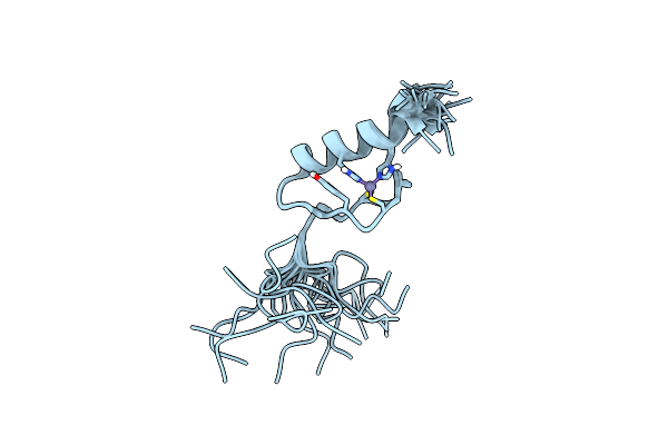 2RV2 image