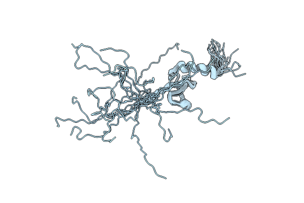 2RVM image
