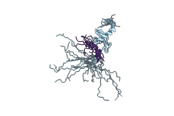 2RVN image