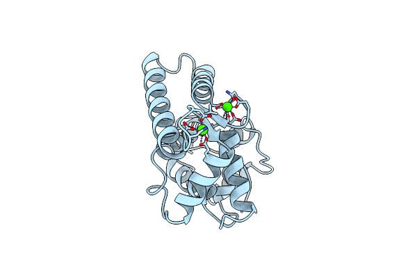 2SAS image