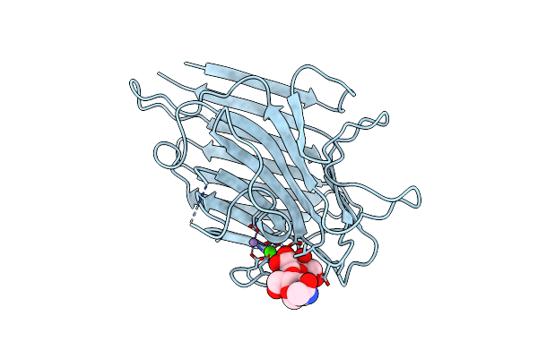 2SBA image