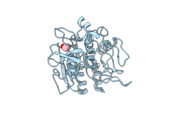 2SBT image