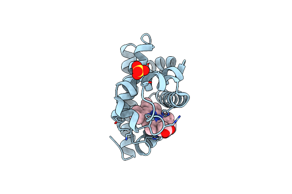 2SPM image