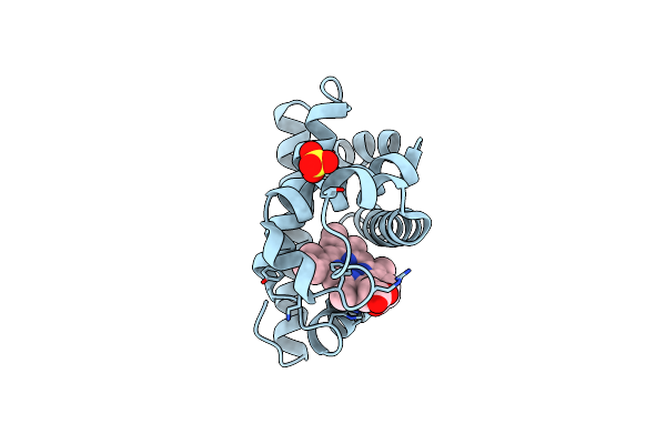 2SPO image