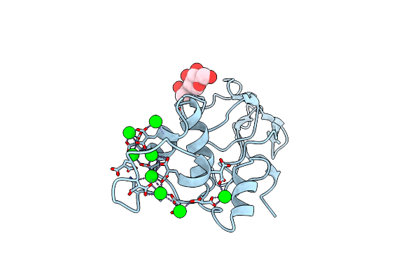 2SPT image