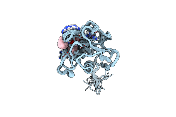 2SRT image