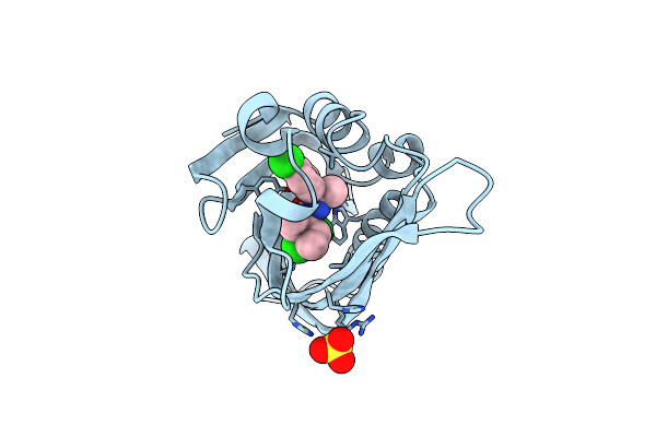 2STD image