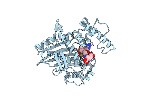 2TDD image