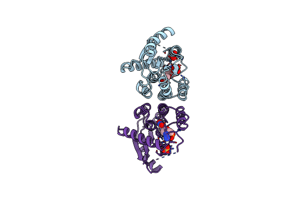 2TMK image