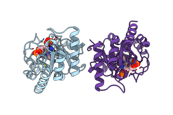 2TPS image