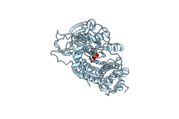 2TPT image