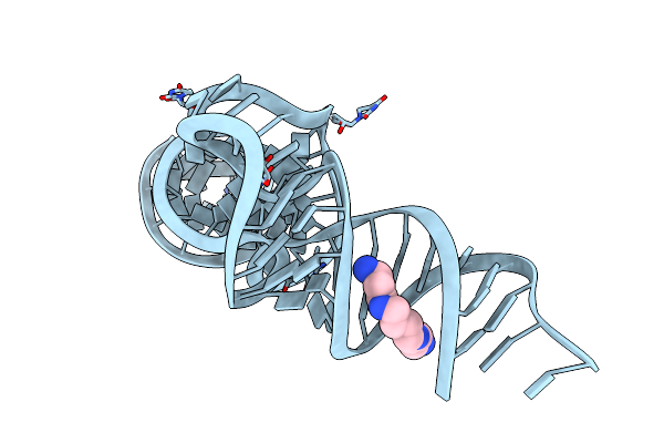 2TRA image
