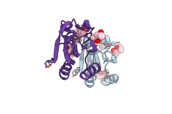 2TRX image