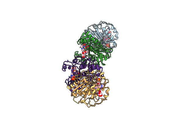 2TSR image